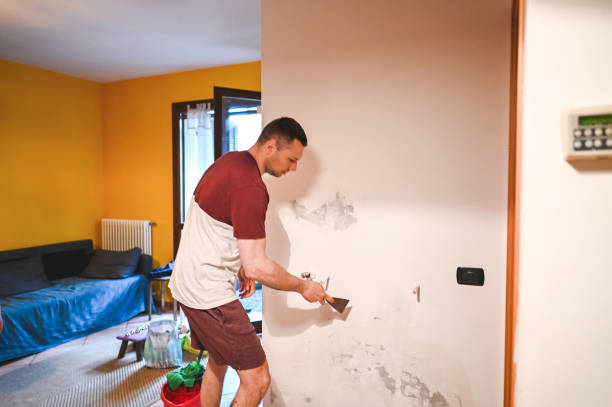 Best Mold Remediation for Specific Building Types in Lake Erie Beach, NY
